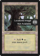 Forest (A) [Revised Edition (Foreign Black Border)]
