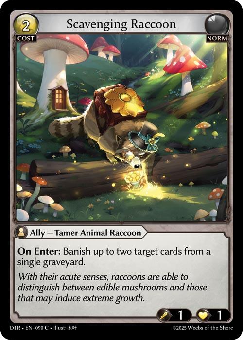 Scavenging Raccoon (090) [Distorted Reflections]