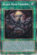 Black Rose Garden (Starlight Rare) [DOOD-EN055] Starlight Rare