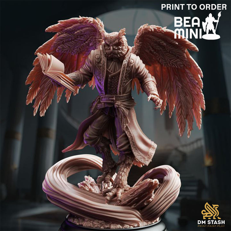 Hoover Brightfeather, Owlkin Wizard | BeaMini Print to Order Miniatures