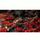 Gamers Grass - Alien Blood Moon Tuft Set