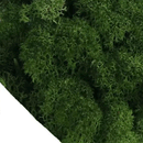 Bea Mini Basing Flock - Shrub Sponge (Green)