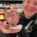Boblin The Goblin - Handcrafted Dice Set and Dice Case