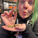 Bumblebee - 7 Piece Metal Polyhedral Dice Set & Dice Case