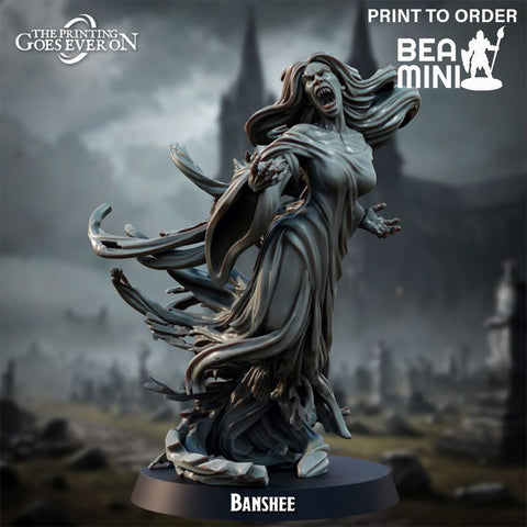 Banshee | BeaMini Print to Order Miniatures
