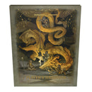 Dungeons & Dragons 2024 Player's Handbook Hobby Store Exclusive Cover