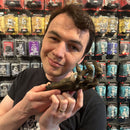 Eye and Hand of Vecna - D&D Icons of the Realms