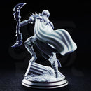 Ilyara Deri, Drow Assassin | BeaMini Print to Order Miniatures