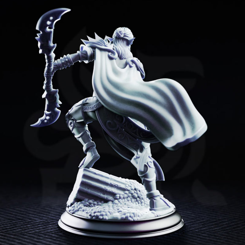 Ilyara Deri, Drow Assassin | BeaMini Print to Order Miniatures