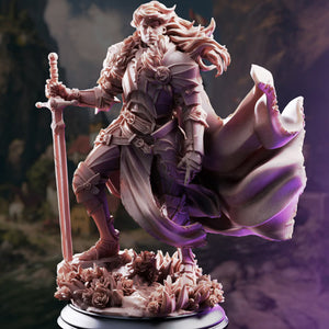 Prince Charming, Human Paladin | BeaMini Print to Order Miniatures