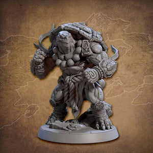 Tso'ok Tortle Monk | BeaMini Print to Order Miniatures