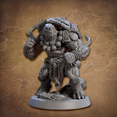 Tso'ok Tortle Monk | BeaMini Print to Order Miniatures