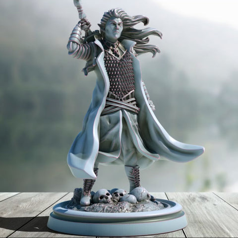 Dark Elf Blackguard | BeaMini Print to Order Miniatures
