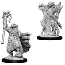 Dragonborn Sorcerer -  Nolzur's Marvelous Unpainted Miniatures
