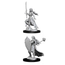 Female Elf Paladin Nolzur's Marvelous Unpainted Miniatures