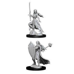 Female Elf Paladin Nolzur's Marvelous Unpainted Miniatures
