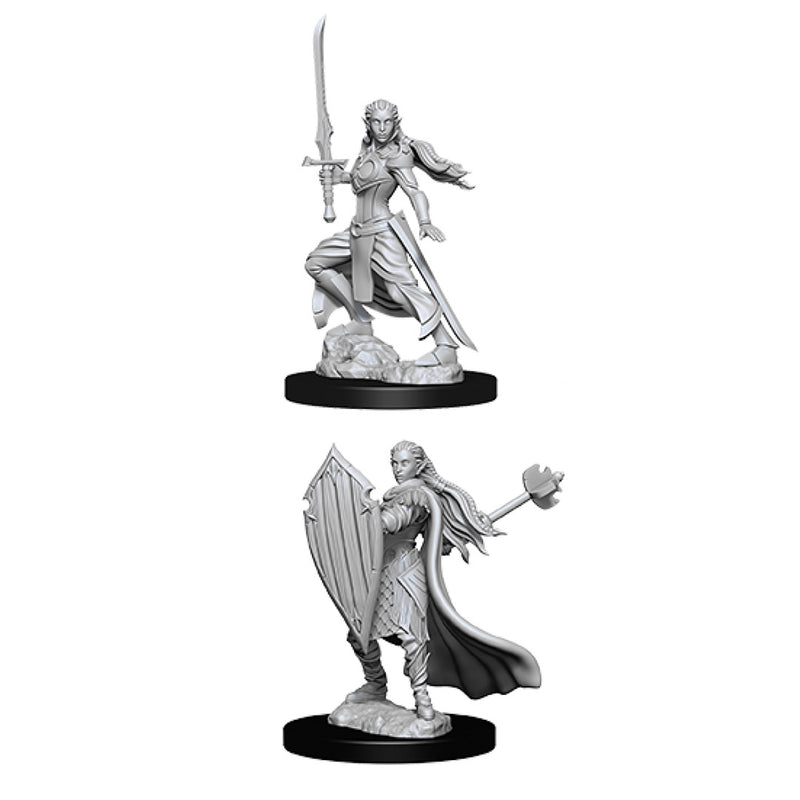 Female Elf Paladin Nolzur's Marvelous Unpainted Miniatures