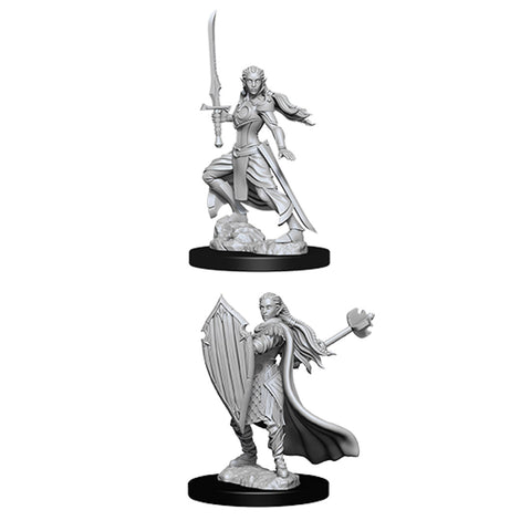 Female Elf Paladin Nolzur's Marvelous Unpainted Miniatures