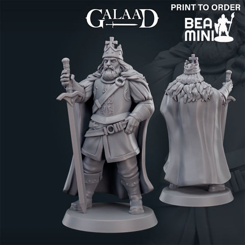 King | BeaMini Print to Order Miniatures