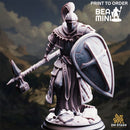 Conquest Paladin - Jeremus of Jochenia | BeaMini Print to Order Miniatures