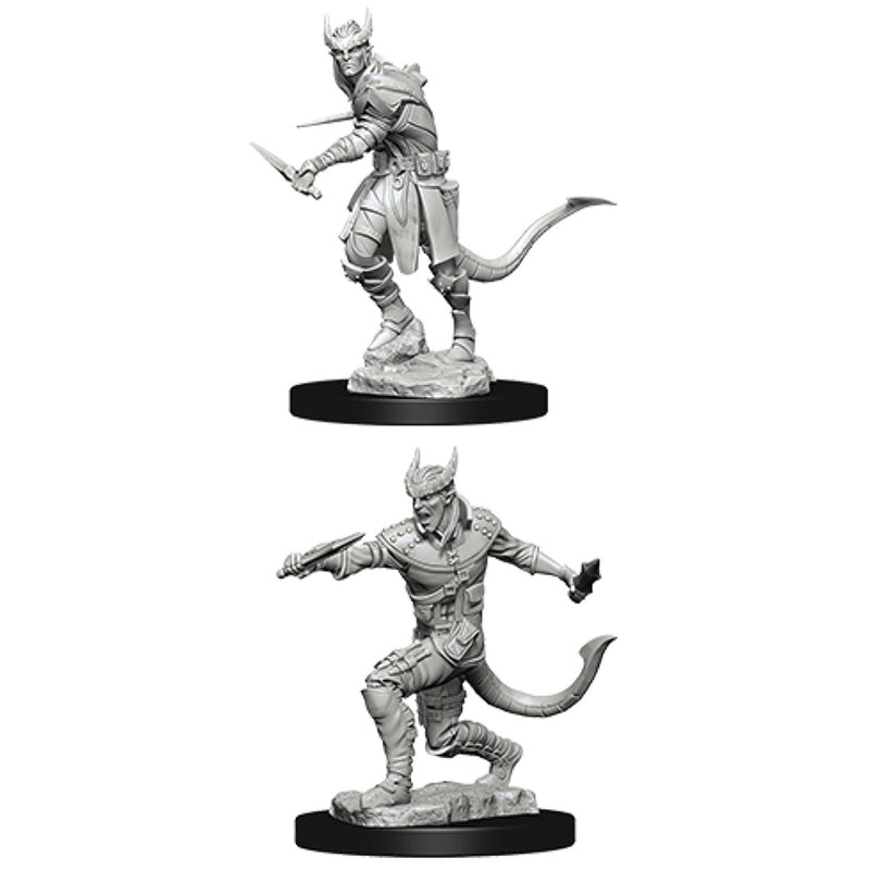 Male Tiefling Rogue - Nolzur's Marvelous Unpainted Miniatures