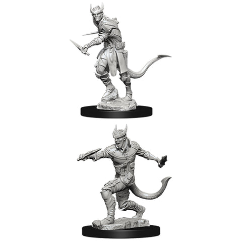 Male Tiefling Rogue - Nolzur's Marvelous Unpainted Miniatures