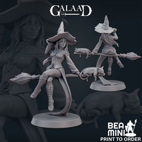Witch on Broom | BeaMini Print to Order Miniatures