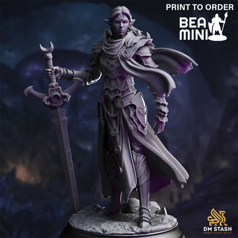 Ilnia Vasrith - Drow Paladin | BeaMini Print to Order Miniatures