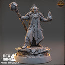 Soone Thaar - Elven Wizard | BeaMini Print to Order Miniatures