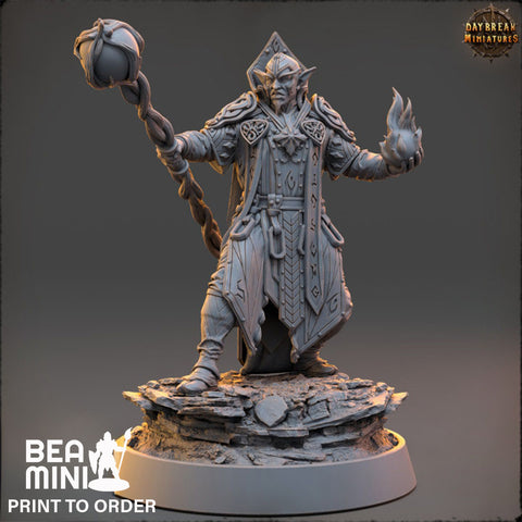 Soone Thaar - Elven Wizard | BeaMini Print to Order Miniatures