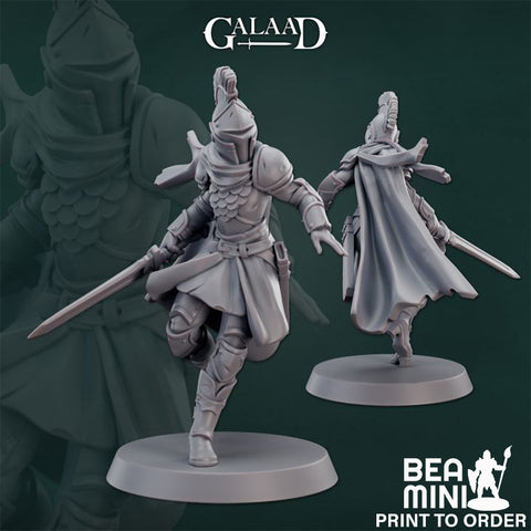 Knight | BeaMini Print to Order Miniatures