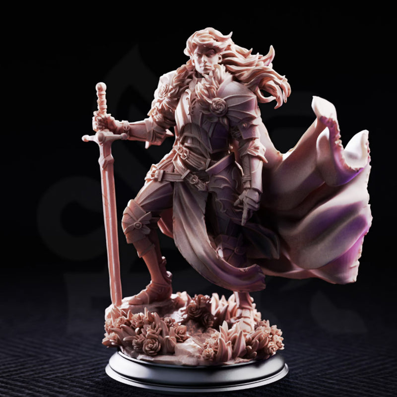 Prince Charming, Human Paladin | BeaMini Print to Order Miniatures