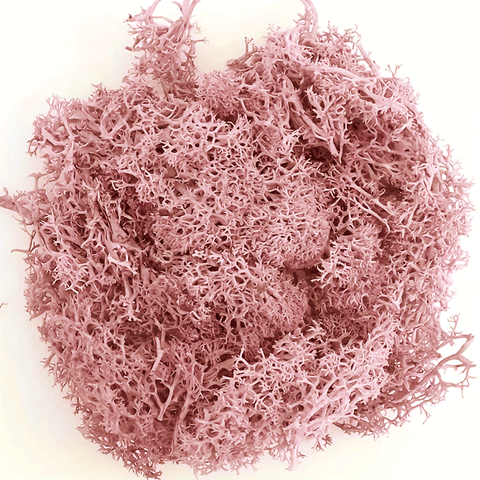Bea Mini Basing Flock - Shrub Sponge (Purple)