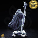 Ardent Silathin, Drow Knight | BeaMini Print to Order Miniatures
