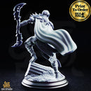 Ilyara Deri, Drow Assassin | BeaMini Print to Order Miniatures