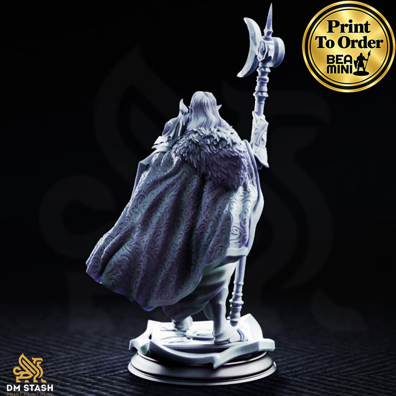 Ardent Silathin, Drow Knight | BeaMini Print to Order Miniatures