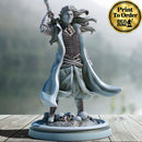 Dark Elf Blackguard | BeaMini Print to Order Miniatures