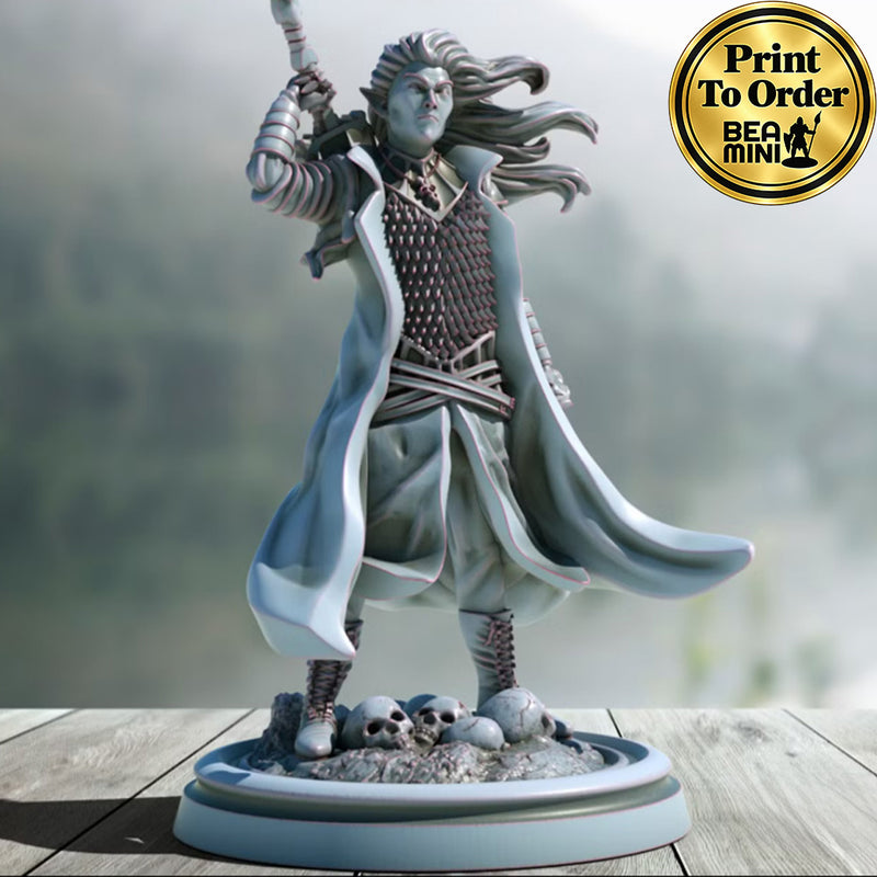 Dark Elf Blackguard | BeaMini Print to Order Miniatures