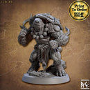 Tso'ok Tortle Monk | BeaMini Print to Order Miniatures