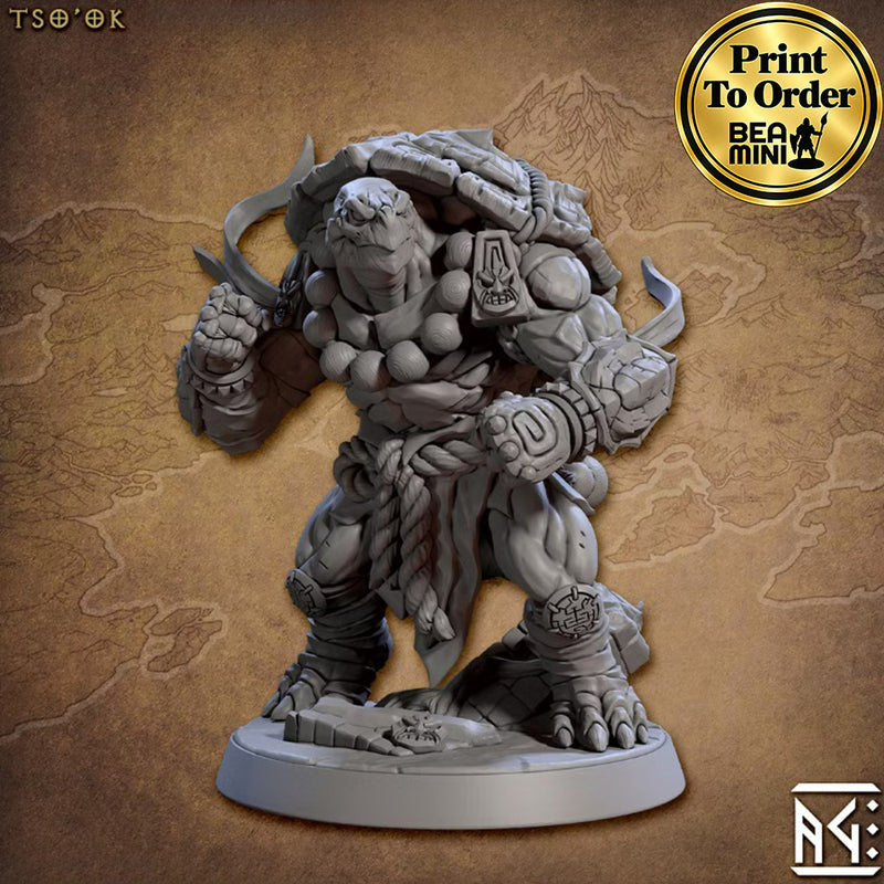 Tso'ok Tortle Monk | BeaMini Print to Order Miniatures