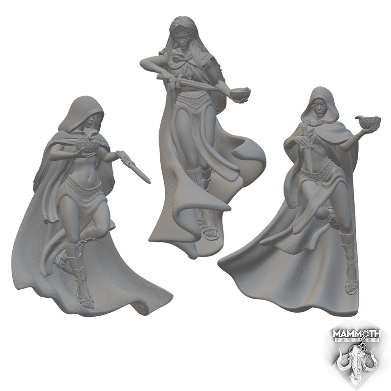 Shadow Crone & Dark Maidens | BeaMini Unpainted RPG Miniatures