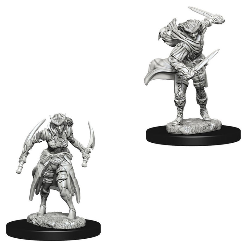 Tiefling Rogue (Female) Nolzurs Marvelous Unpainted Miniatures