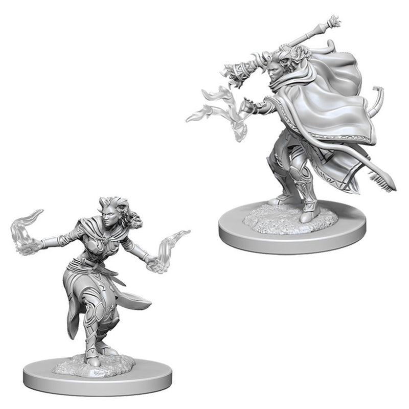 Tiefling Warlock (Female) - Nolzurs Marvelous Unpainted Miniatures