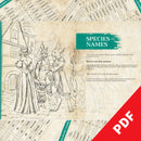 It All Started With A Name - The PDF | Bea Books