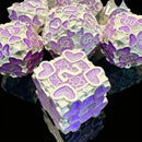 Love & Adventure - 7 Piece Metal Polyhedral Dice Set