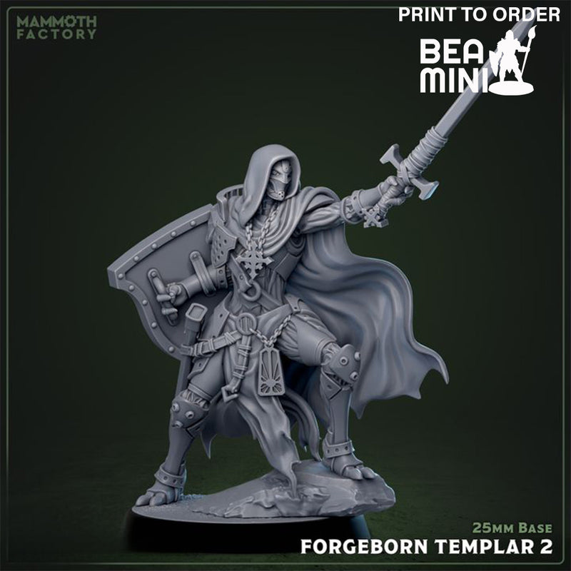 Forgeborn Paladin 2 | BeaMini Print to Order Miniature