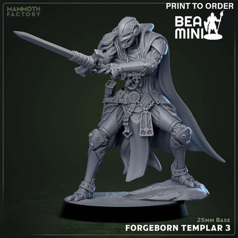 Forgeborn Paladin 3 | BeaMini Print to Order Miniature