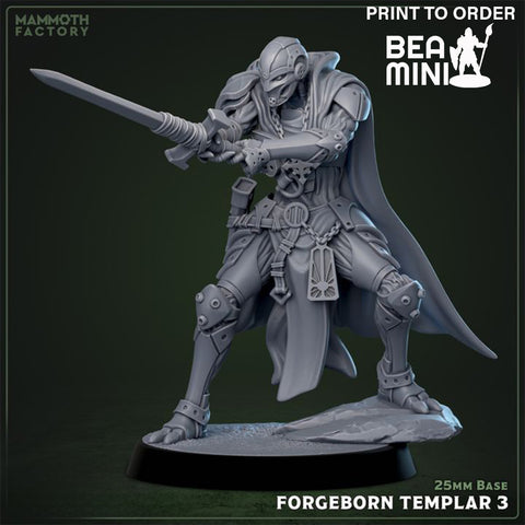 Forgeborn Paladin 3 | BeaMini Print to Order Miniature