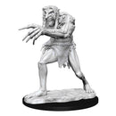 Troll - Nolzur's Marvelous Unpainted Miniatures
