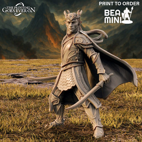 King Thavandir - Elven Fighter | BeaMini Print to Order Miniatures
